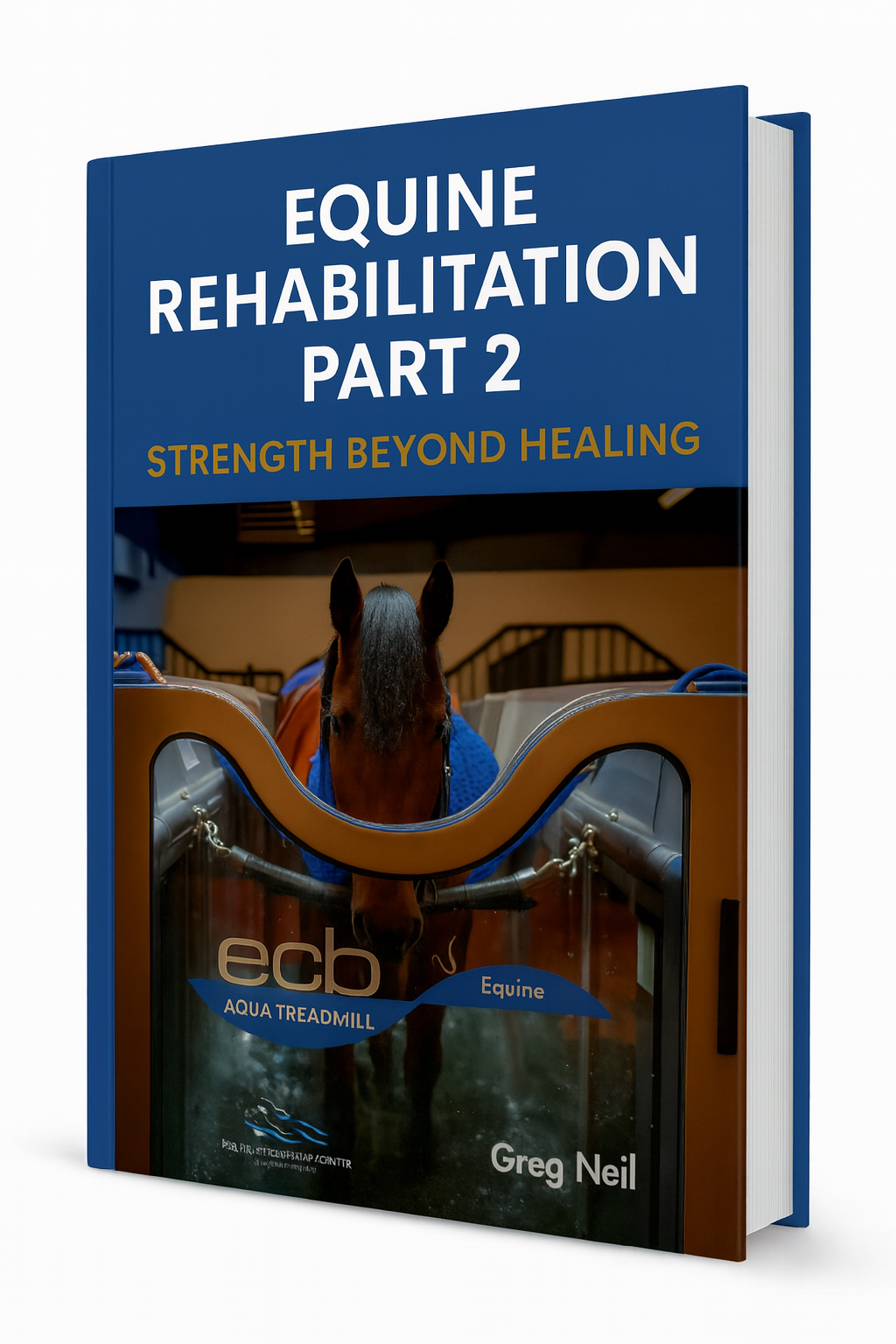 Equine Rehabilitation Part 2: Strength Beyond Healing - Advanced